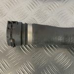 IMG_5651