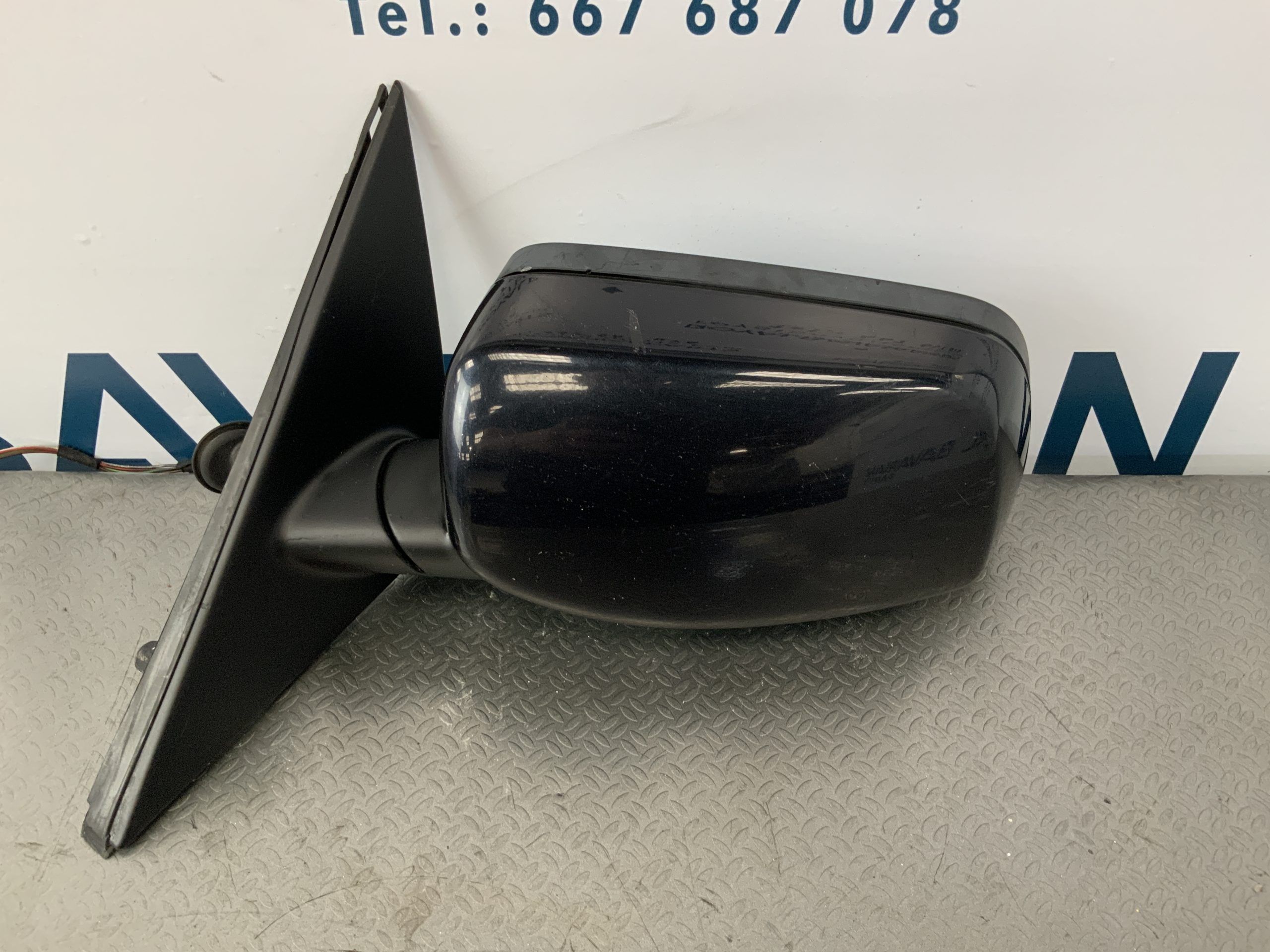 IMG_4981
